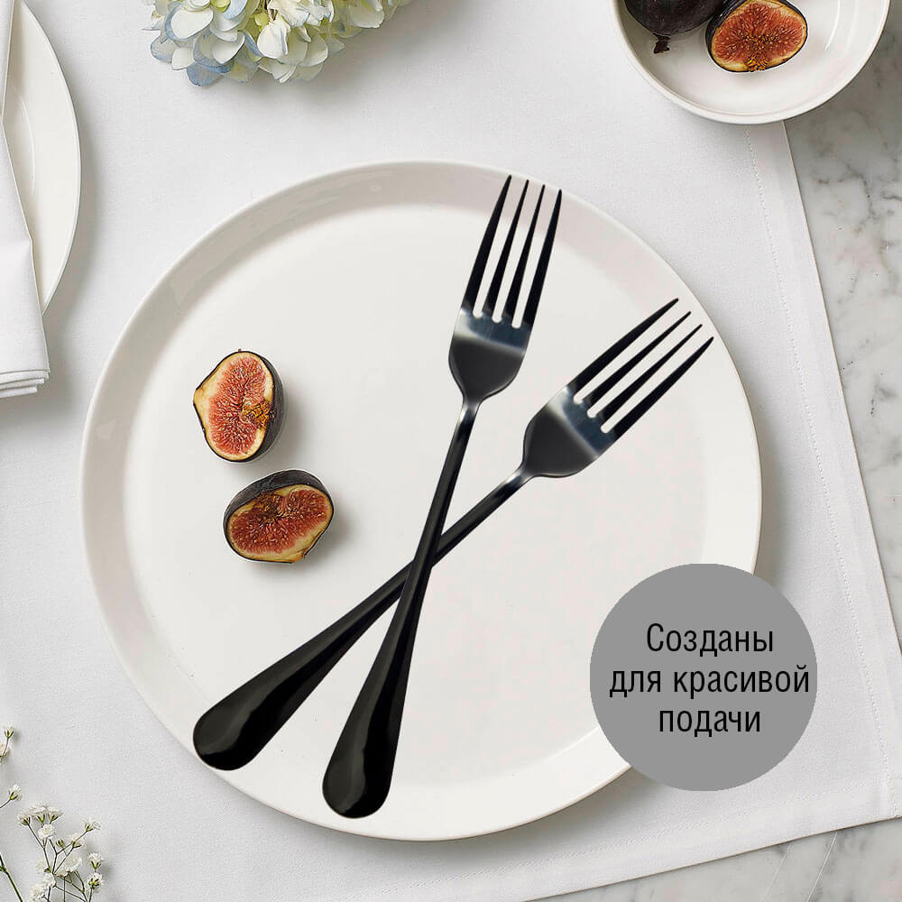 

Набор вилок 2шт Европа черные tk-1010